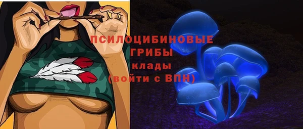 стафф Алзамай