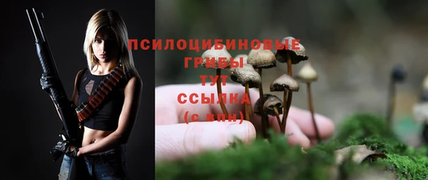 спайс Абаза