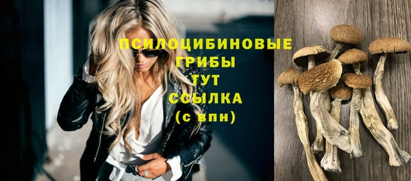 2c-b Алексеевка